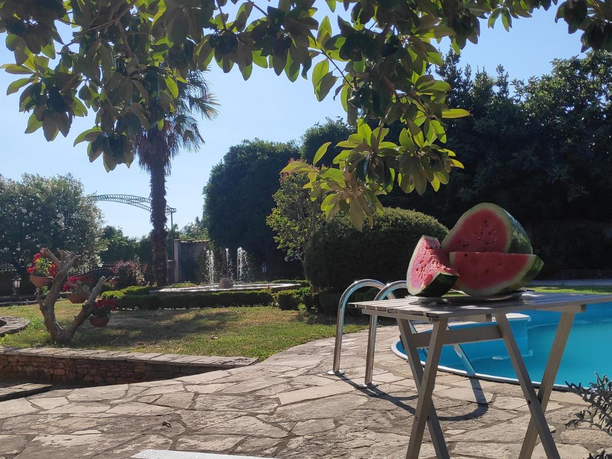 Leisure House Jovovic Villa Bar Ngoại thất bức ảnh