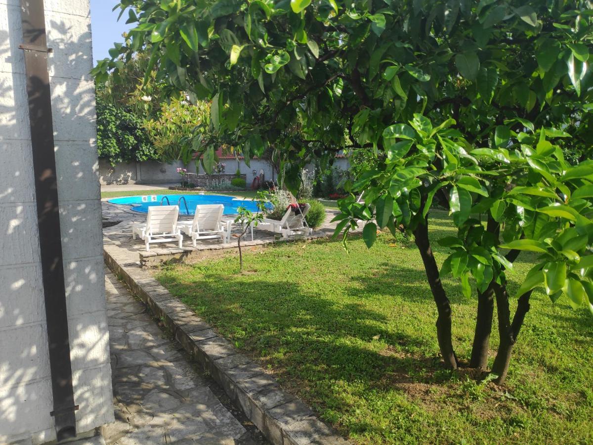 Leisure House Jovovic Villa Bar Ngoại thất bức ảnh
